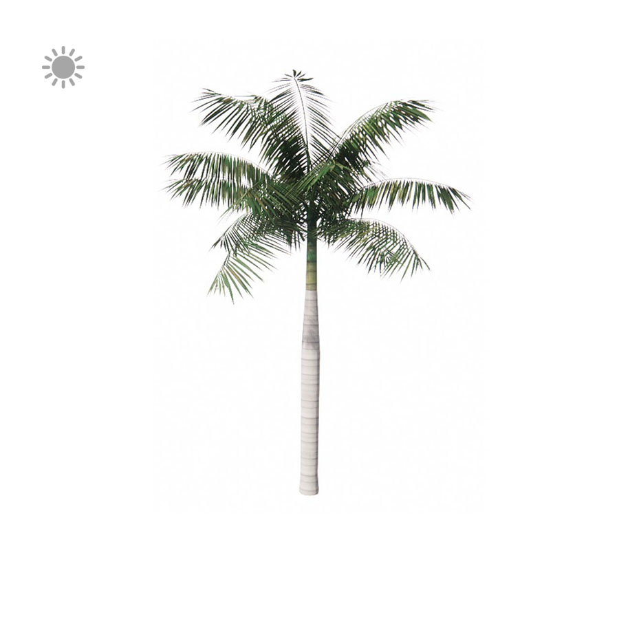 Palmeira Ravenala - Vegetação Sketchup, Árvore 3d